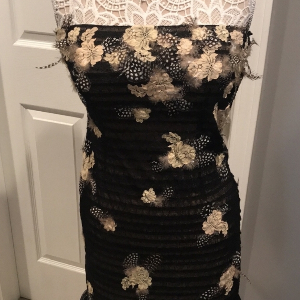 Beautiful BCBGMaxAzria dress - Picture 3 of 8